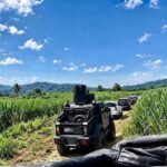 REFUERZAN OPERATIVO DE SEGURIDAD EN OMEALCA TRAS ATAQUE CONTRA FEDERALES