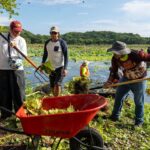 Retiran vegetación de la Laguna de San Julián para recuperar el ecosistema