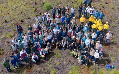 Reforestan San Juan del Monte, plantan mil pinos en zona devastada por incendios de 2019