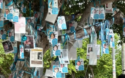 INCREMENTAN LAS DESAPARICIONES EN VERACRUZ