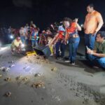 COLAPSO AMBIENTAL EN LA RIVIERA VERACRUZANA; LA POBLACIÓN DE CANGREJO AZUL CAE UN 97% EN UN DÉCADA