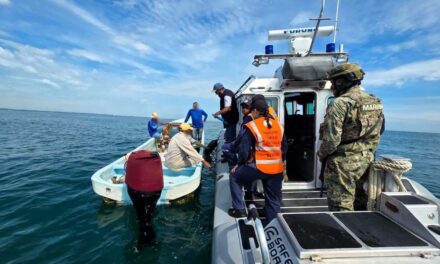 MARINA INFORMA RESULTADOS DE LAS ACCIONES DE INSPECCIÓN Y VERIFICACIÓN