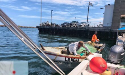Marina realiza acciones de inspección y vigilancia pesquera en la zona centro de Veracruz
