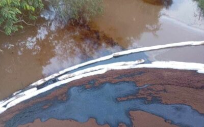 🔴Derrame de petróleo contamina el arroyo Chacalapa en #Jaltipan; señalan a planta de sal de PMV