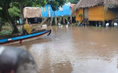 ¡PIDEN AYUDA URGENTE PARA BOCA DE UXPANAPA, MINATITLÁN!